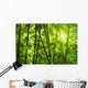 Bamboo Forest Wall Mural