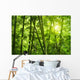 Bamboo Forest Wall Mural