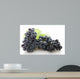 Bunch Black Grapes