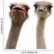 two ostriches heads Wall Decal