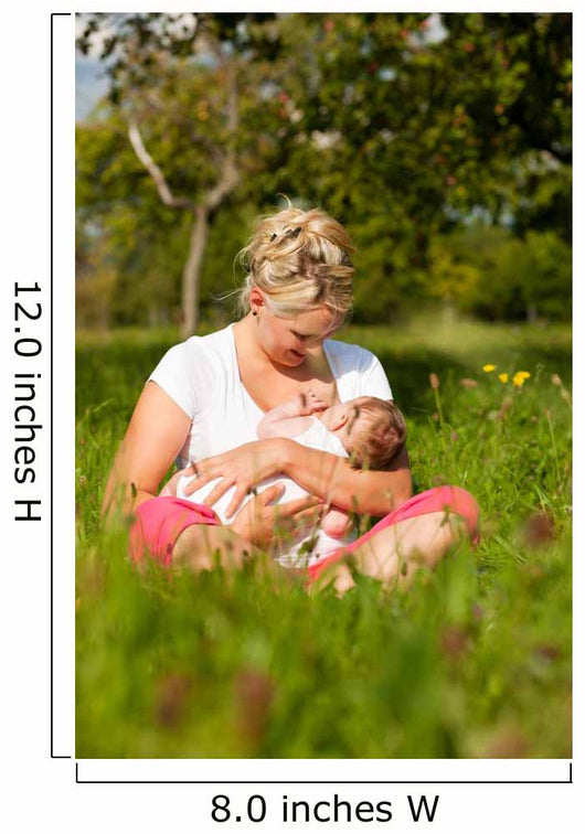 Mother nursing baby on meadow Wall Mural