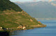 Lavaux Et Leman Wall Decal