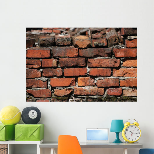 Mur Z Cegiel Wall Mural