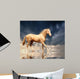 Cremello Stallion Akhal-teke Water