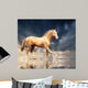Cremello Stallion Akhal-teke Water