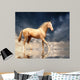 Cremello Stallion Akhal-teke Water