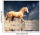 Cremello Stallion Akhal-teke Water