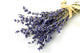 lavender Wall Decal