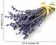 lavender Wall Decal