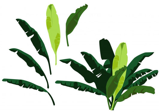 Banana leaves Wall Decal