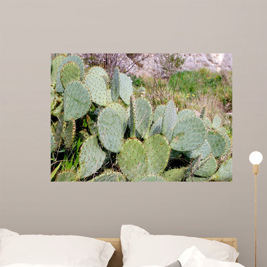 Cactus Wall Mural