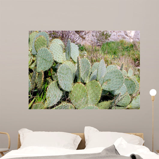 Cactus Wall Mural