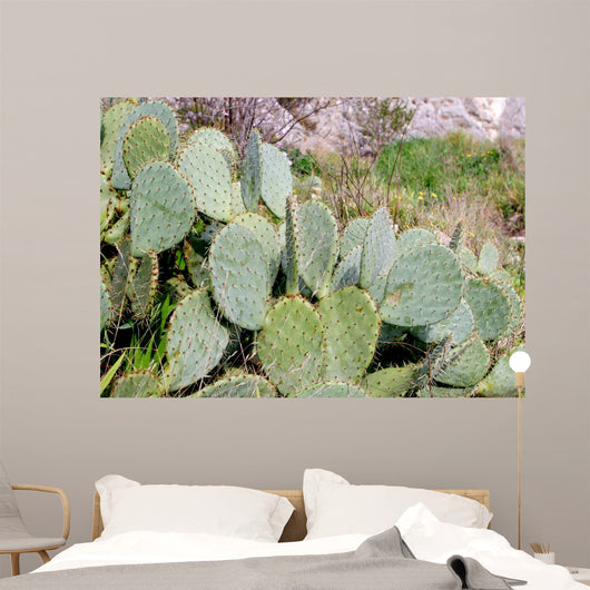 Cactus Wall Mural