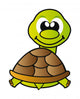 Turtle White Wall Decal