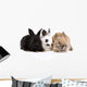 Three Bunny Rabbits Wall Decal