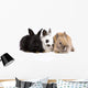 Three Bunny Rabbits Wall Decal