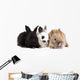Three Bunny Rabbits Wall Decal