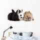 Three Bunny Rabbits Wall Decal
