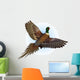 ringnecked pheasant flying Wall Decal