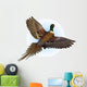 ringnecked pheasant flying Wall Decal