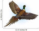 ringnecked pheasant flying Wall Decal