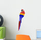 Parrot Wall Decal