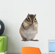 Siberian Chipmunk Euamias Sibiricus Wall Decal Design 2