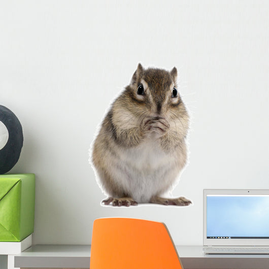 Siberian Chipmunk Euamias Sibiricus Wall Decal Design 2