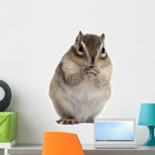 Siberian Chipmunk Euamias Sibiricus Wall Decal Design 2
