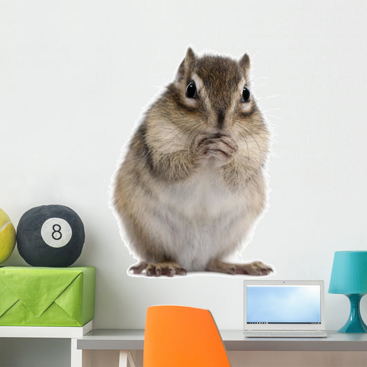 Siberian Chipmunk Euamias Sibiricus Wall Decal Design 2