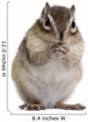 Siberian Chipmunk Euamias Sibiricus Wall Decal Design 2