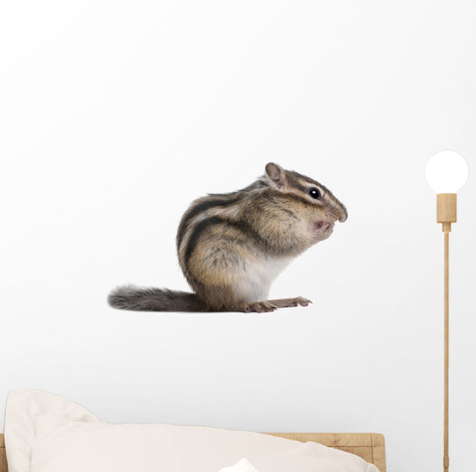 Siberian Chipmunk Euamias Sibiricus Wall Decal