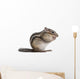 Siberian Chipmunk Euamias Sibiricus Wall Decal