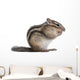 Siberian Chipmunk Euamias Sibiricus Wall Decal