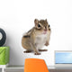Siberian Chipmunk Euamias Sibiricus Wall Decal Design 1