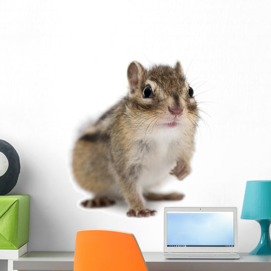 Siberian Chipmunk Euamias Sibiricus Wall Decal Design 1