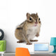 Siberian Chipmunk Euamias Sibiricus Wall Decal Design 1