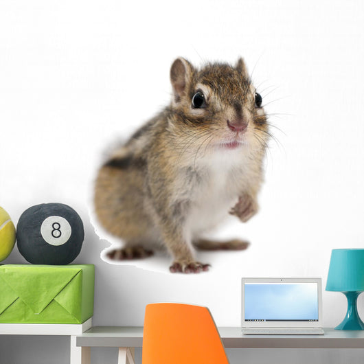 Siberian Chipmunk Euamias Sibiricus Wall Decal Design 1
