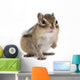 Siberian Chipmunk Euamias Sibiricus Wall Decal Design 1