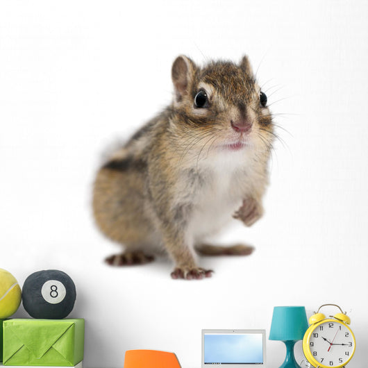 Siberian Chipmunk Euamias Sibiricus Wall Decal Design 1