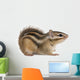 Siberian chipmunk, Euamias sibiricus Wall Decal