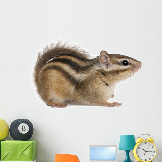 Siberian chipmunk, Euamias sibiricus Wall Decal