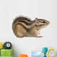 Siberian chipmunk, Euamias sibiricus Wall Decal