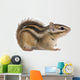 Siberian chipmunk, Euamias sibiricus Wall Decal
