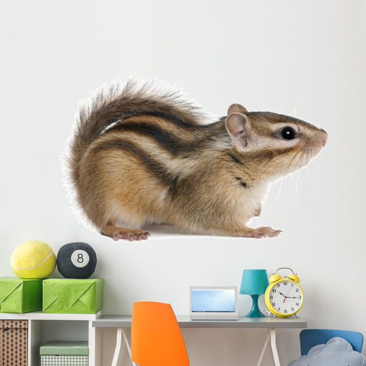 Siberian chipmunk, Euamias sibiricus Wall Decal