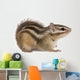 Siberian chipmunk, Euamias sibiricus Wall Decal