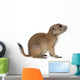 Black-tailed prairie dog, Cynomys ludovicianus, sitting Wall Decal