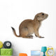 Black-tailed prairie dog, Cynomys ludovicianus, sitting Wall Decal