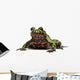 Oriental Fire-bellied Toad Bombina Wall Decal