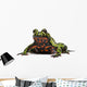 Oriental Fire-bellied Toad Bombina Wall Decal